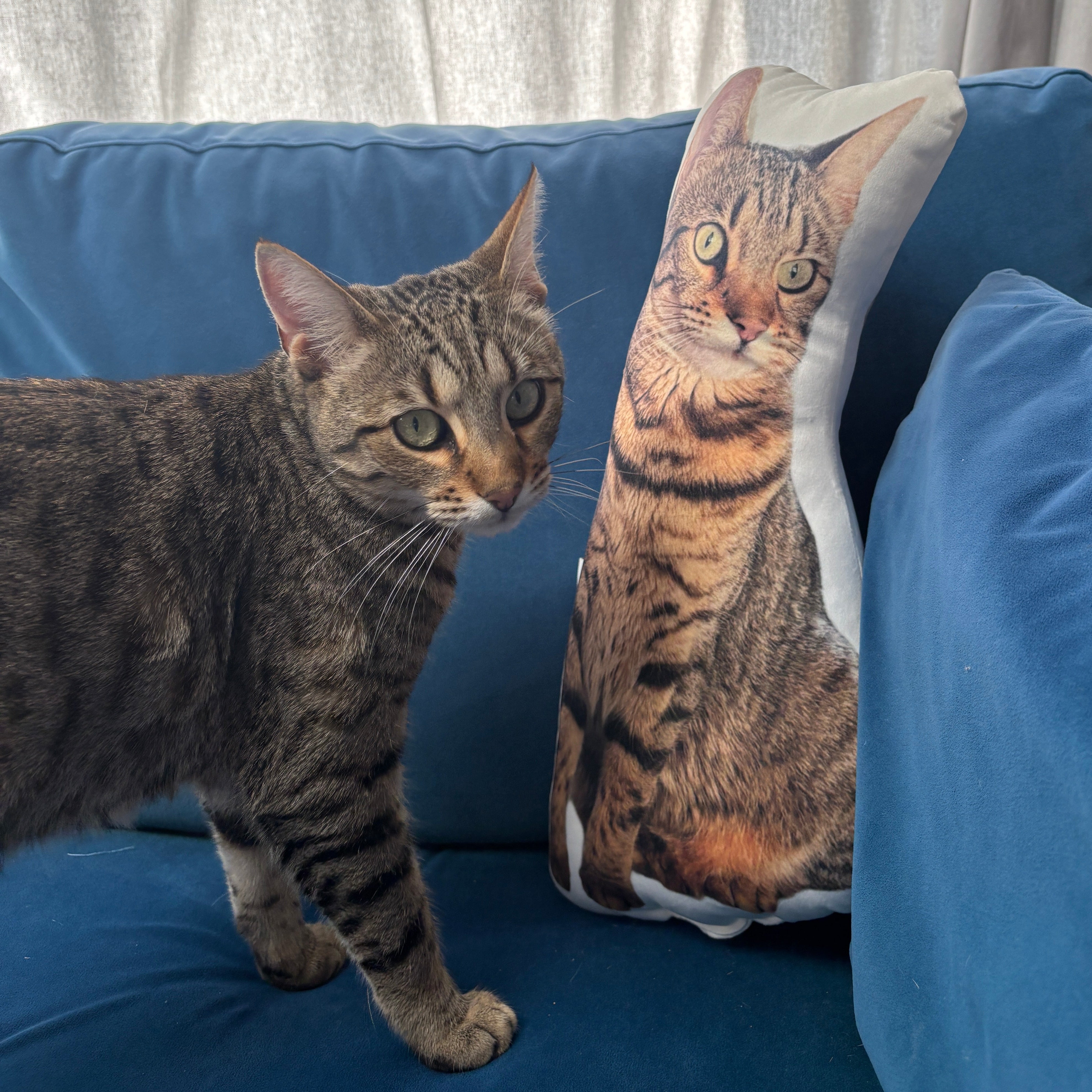 Cat Photo Shaped Pillow
