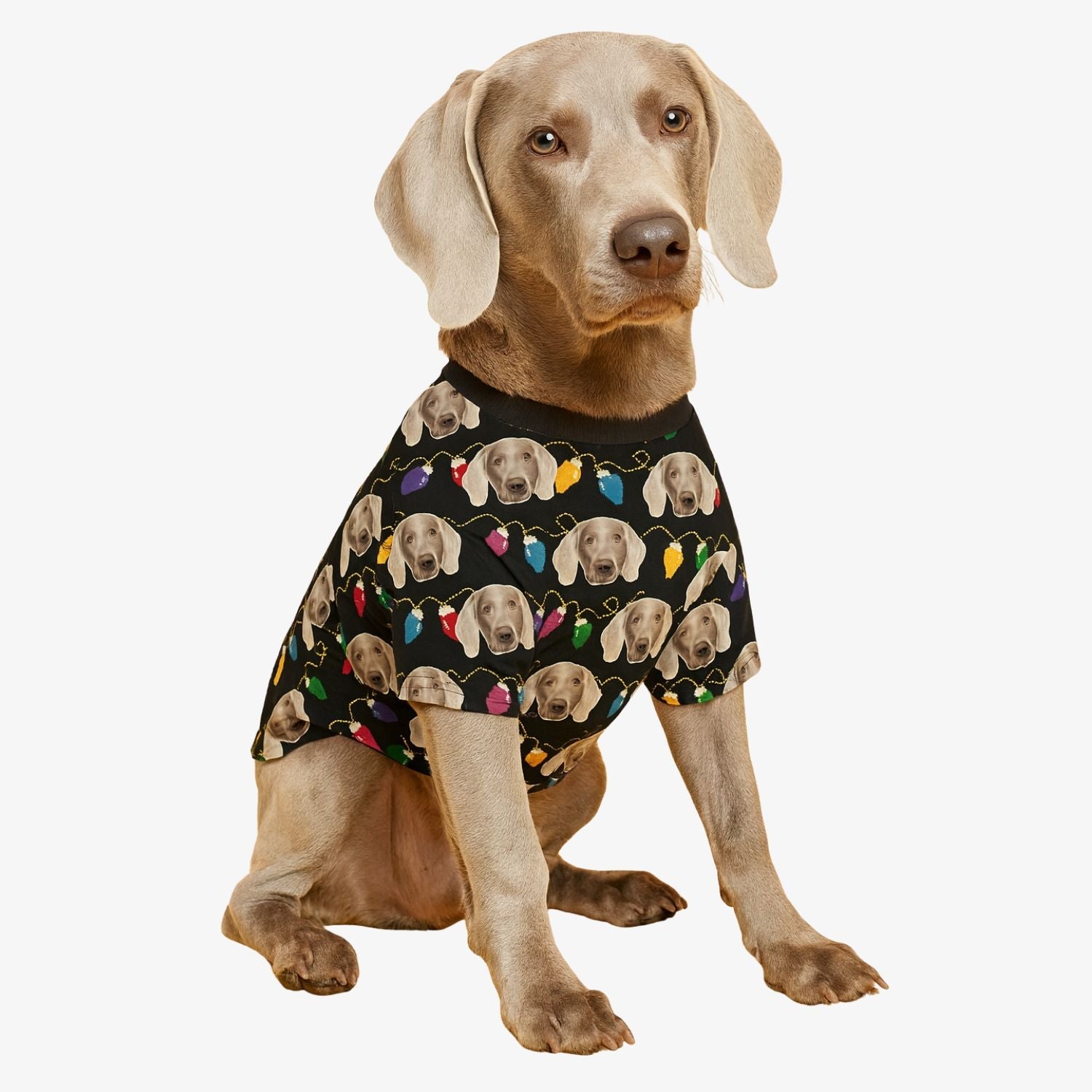 Christmas Lights Personalised Dog T Shirt