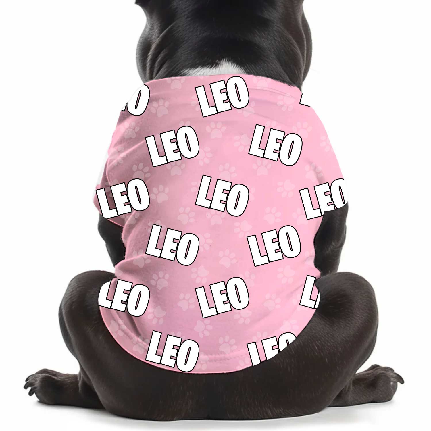 Dog Name Paw Print Personalised Dog T Shirt