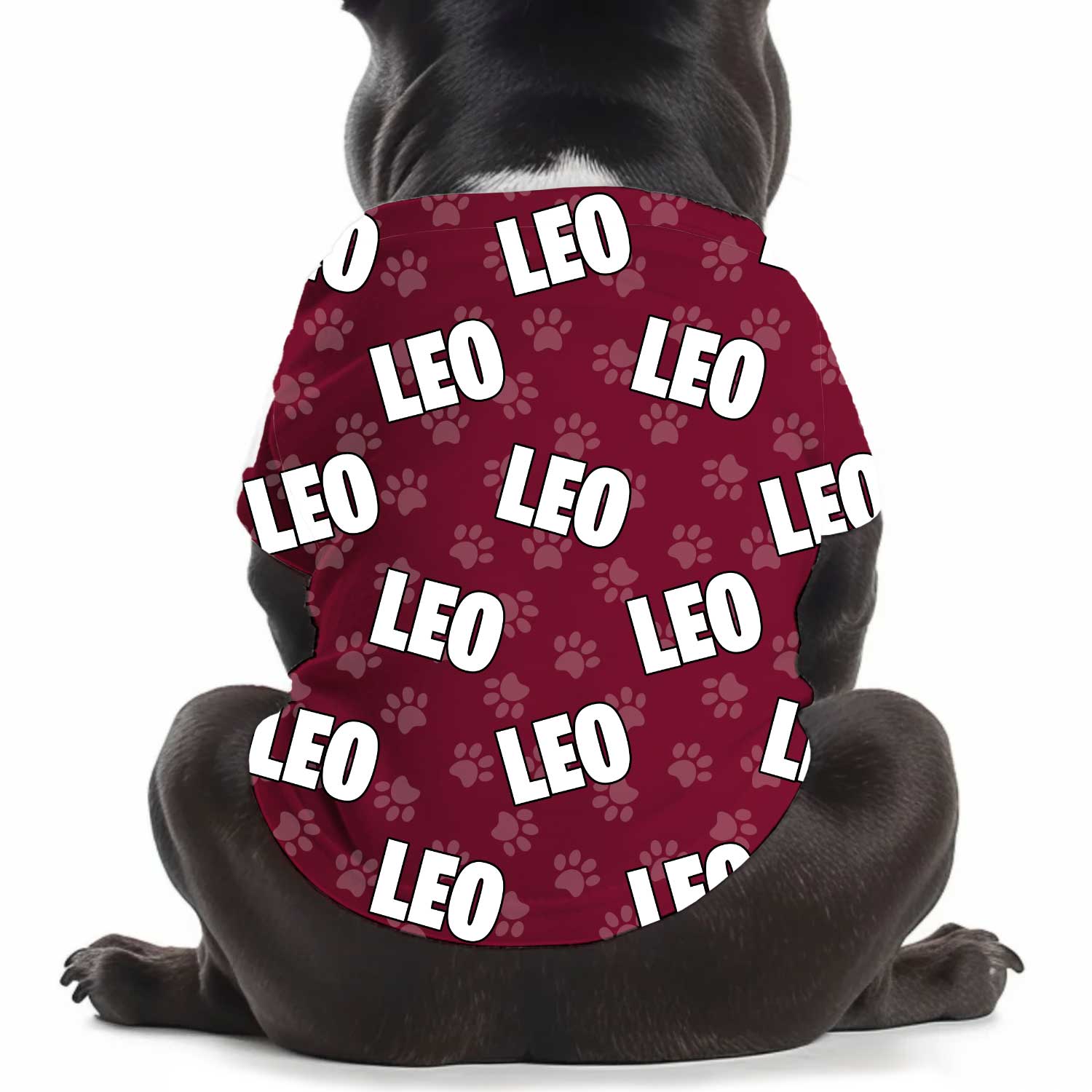 Dog Name Paw Print Personalised Dog T Shirt