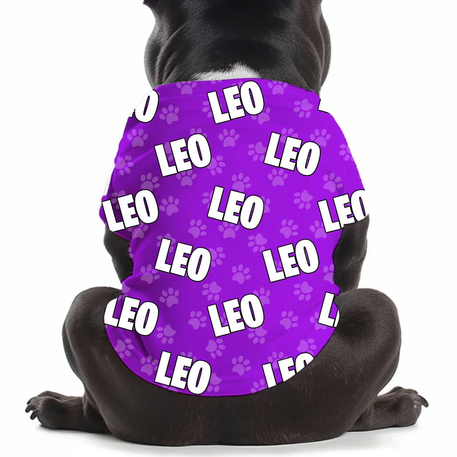 Dog Name Paw Print Personalised Dog T Shirt