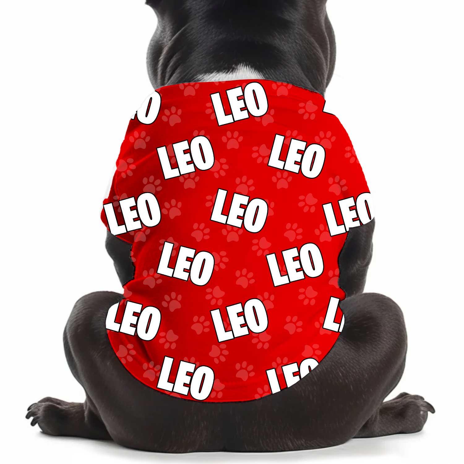 Dog Name Paw Print Personalised Dog T Shirt