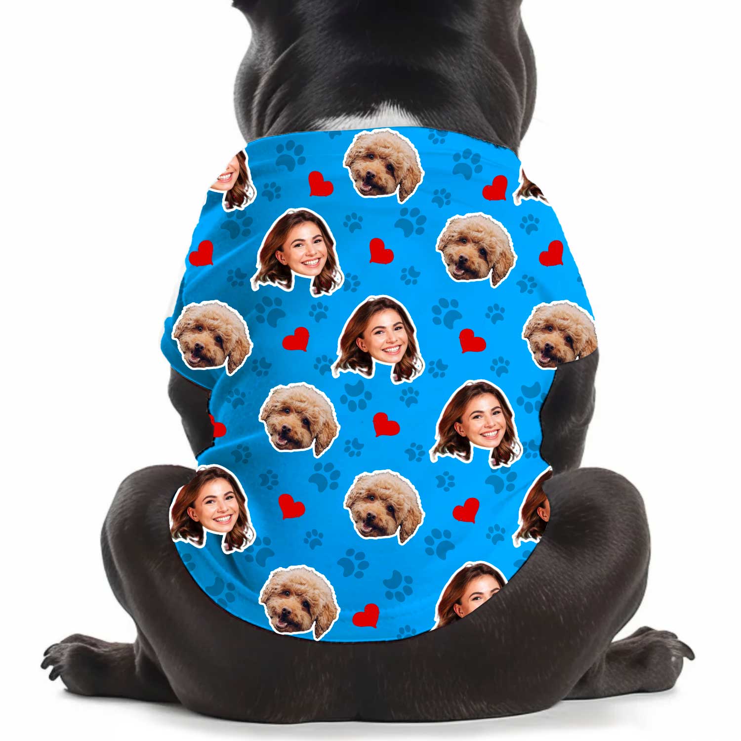 Paws and Hearts Personalised Dog T Shirt