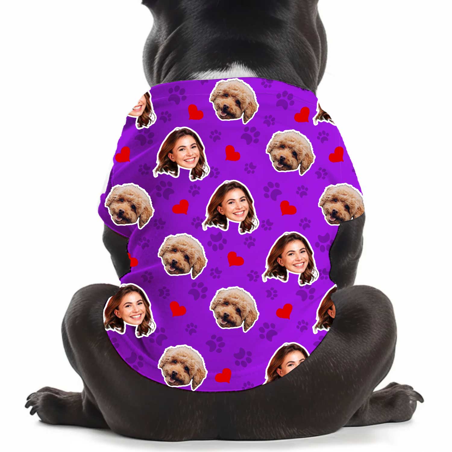 Paws and Hearts Personalised Dog T Shirt