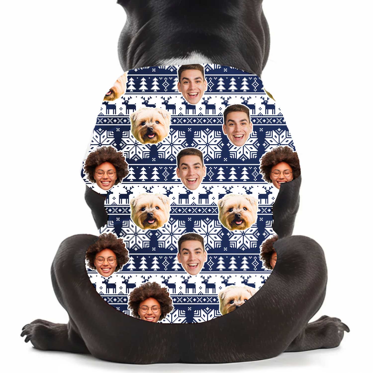 Family Faces Nordic Christmas Personalised Dog T Shirt