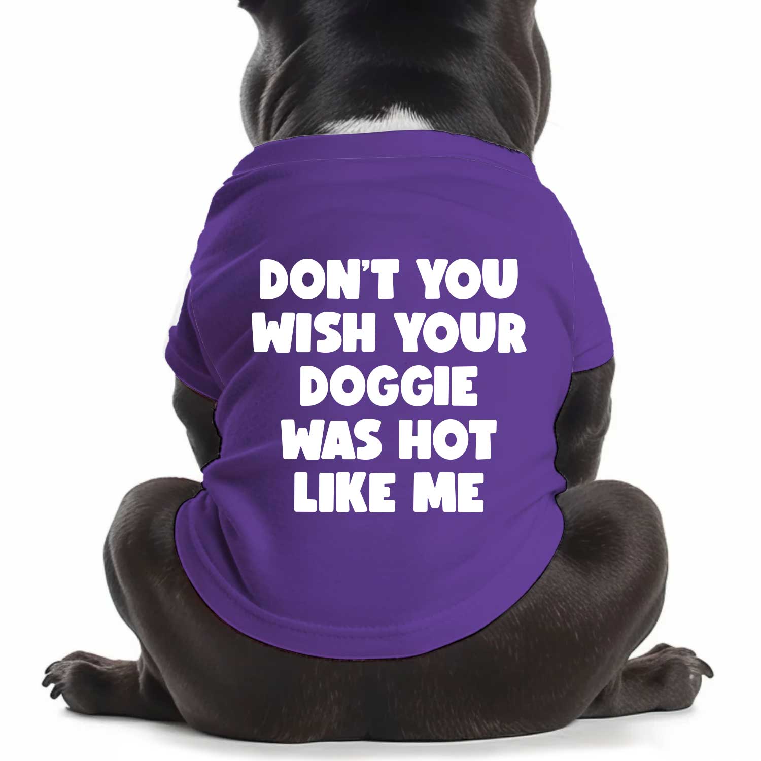 Hot Like Me Dog T Shirt