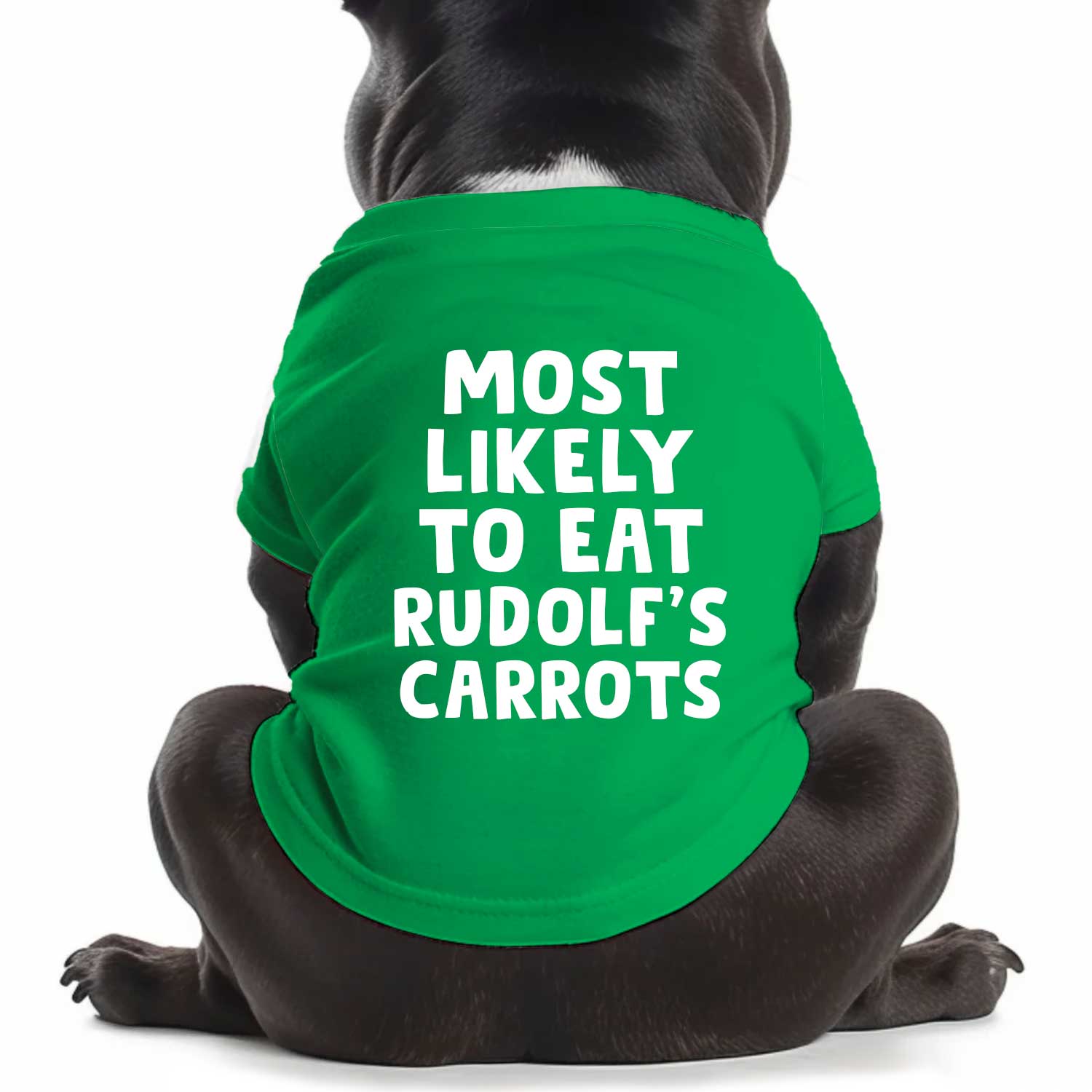 Most Likely To Eat Rudolf's Carrots Dog T Shirt