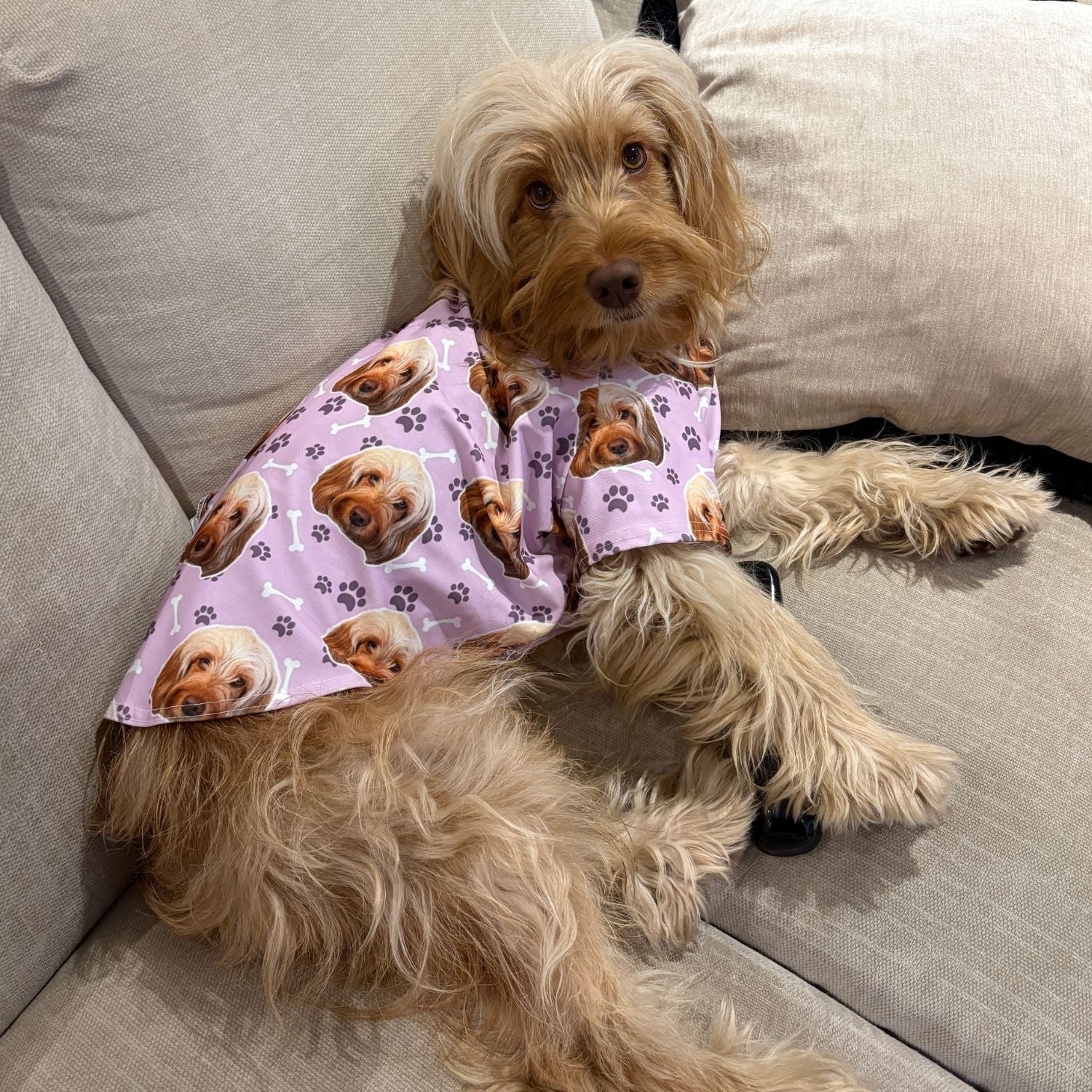 Dogsy Personalised Dog T Shirt