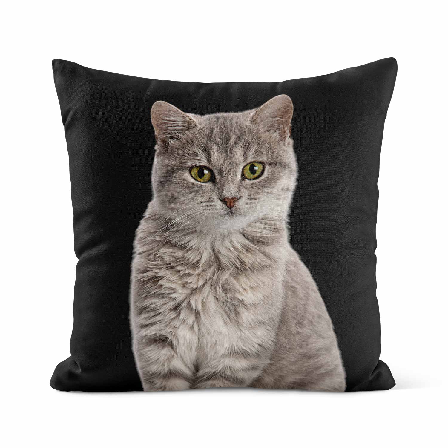 Your Cat Cushion
