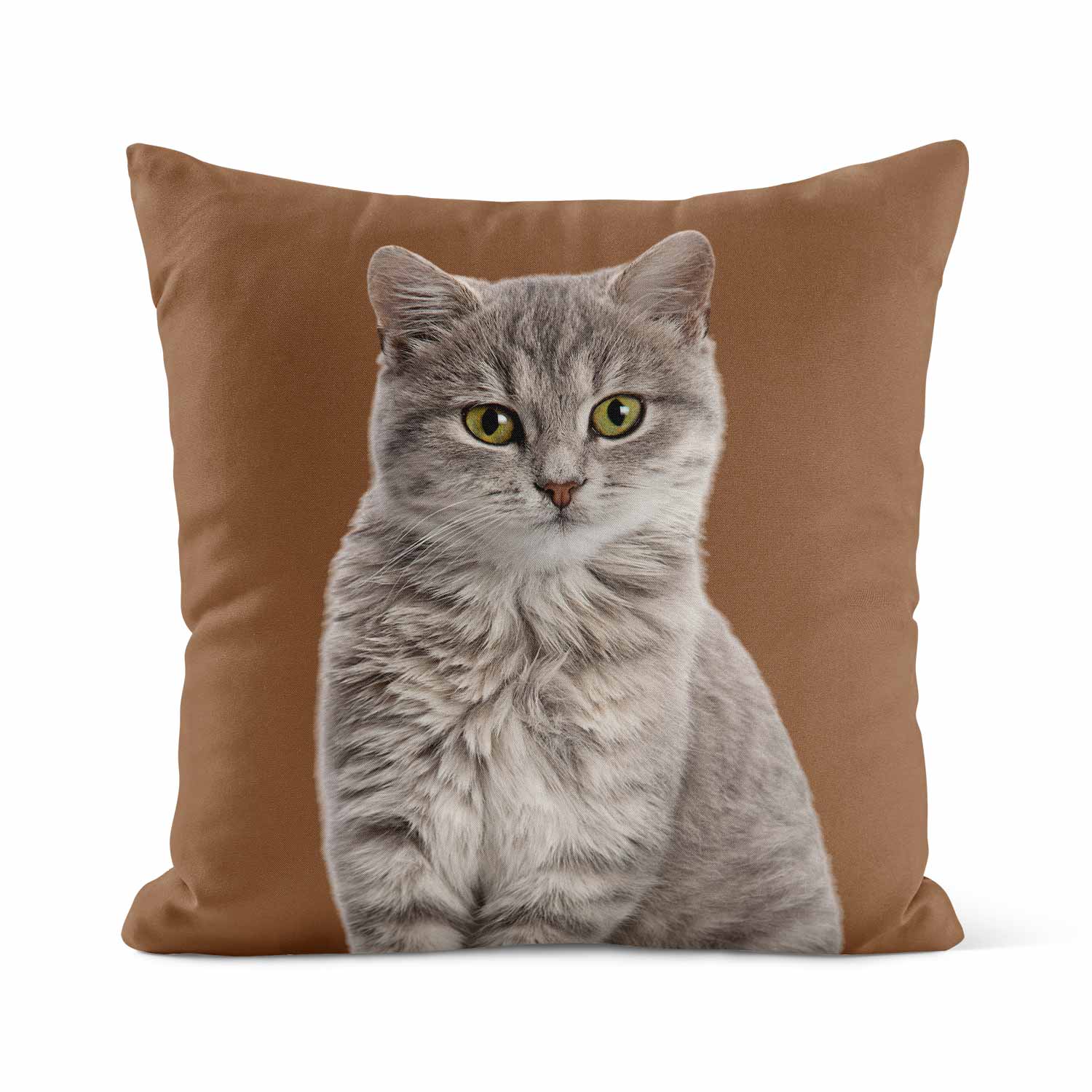 Your Cat Cushion