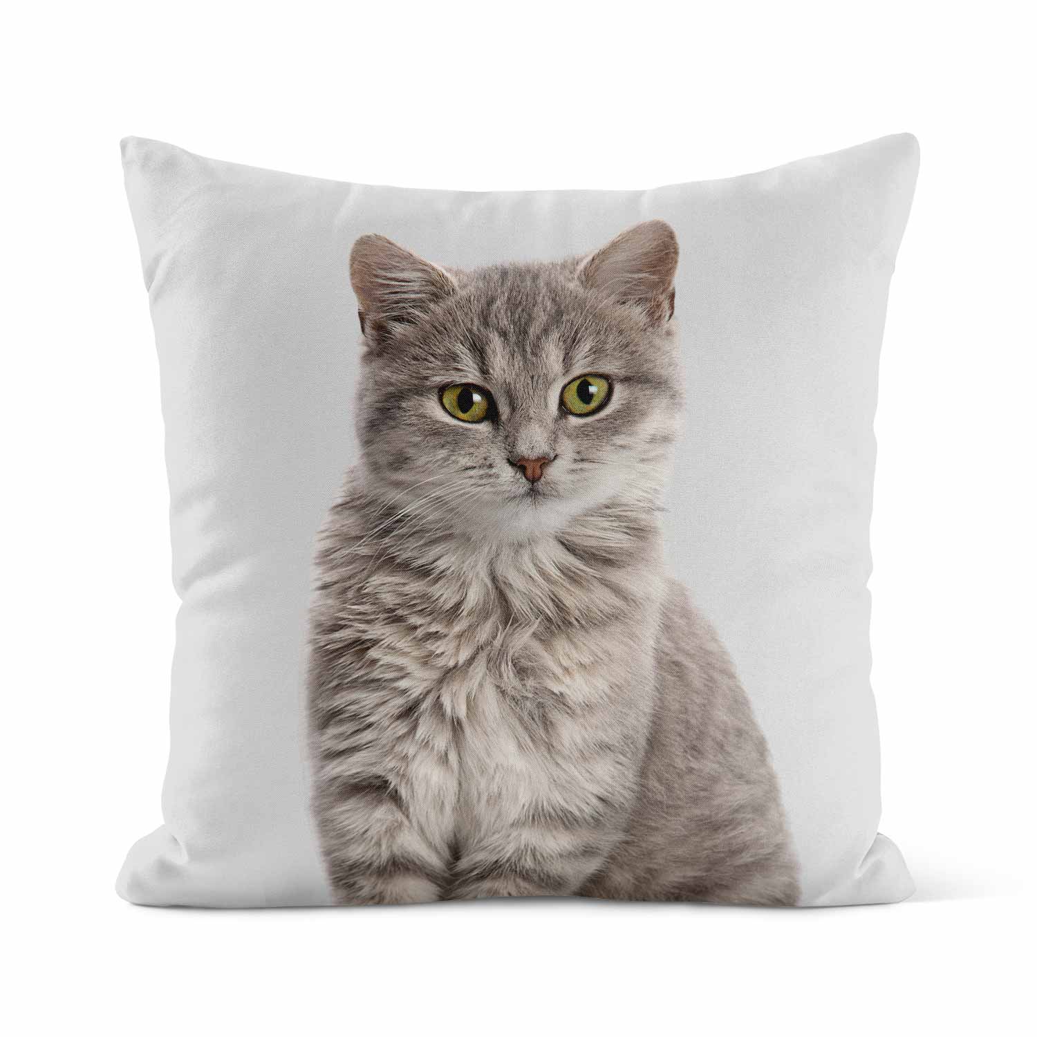 Your Cat Cushion