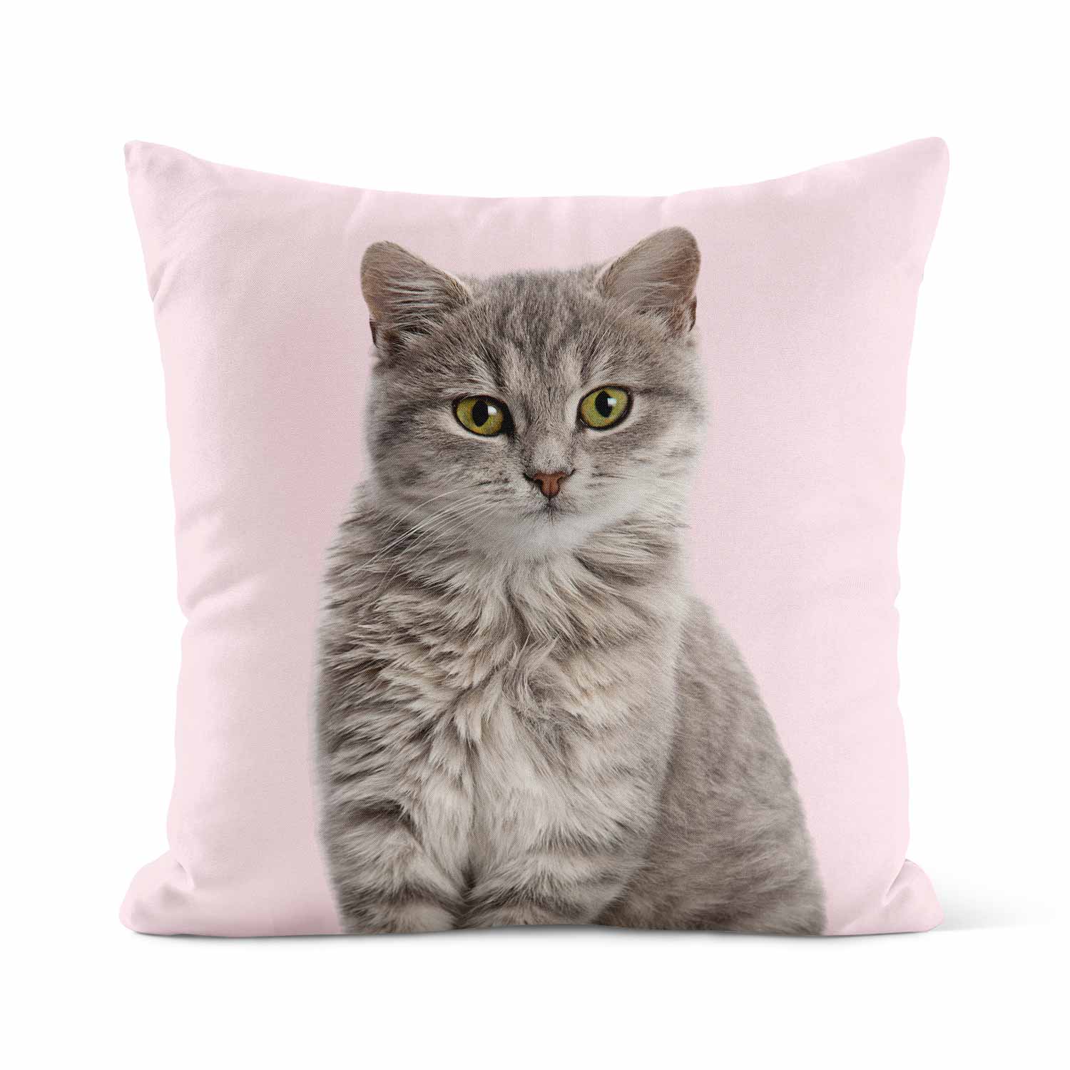 Your Cat Cushion
