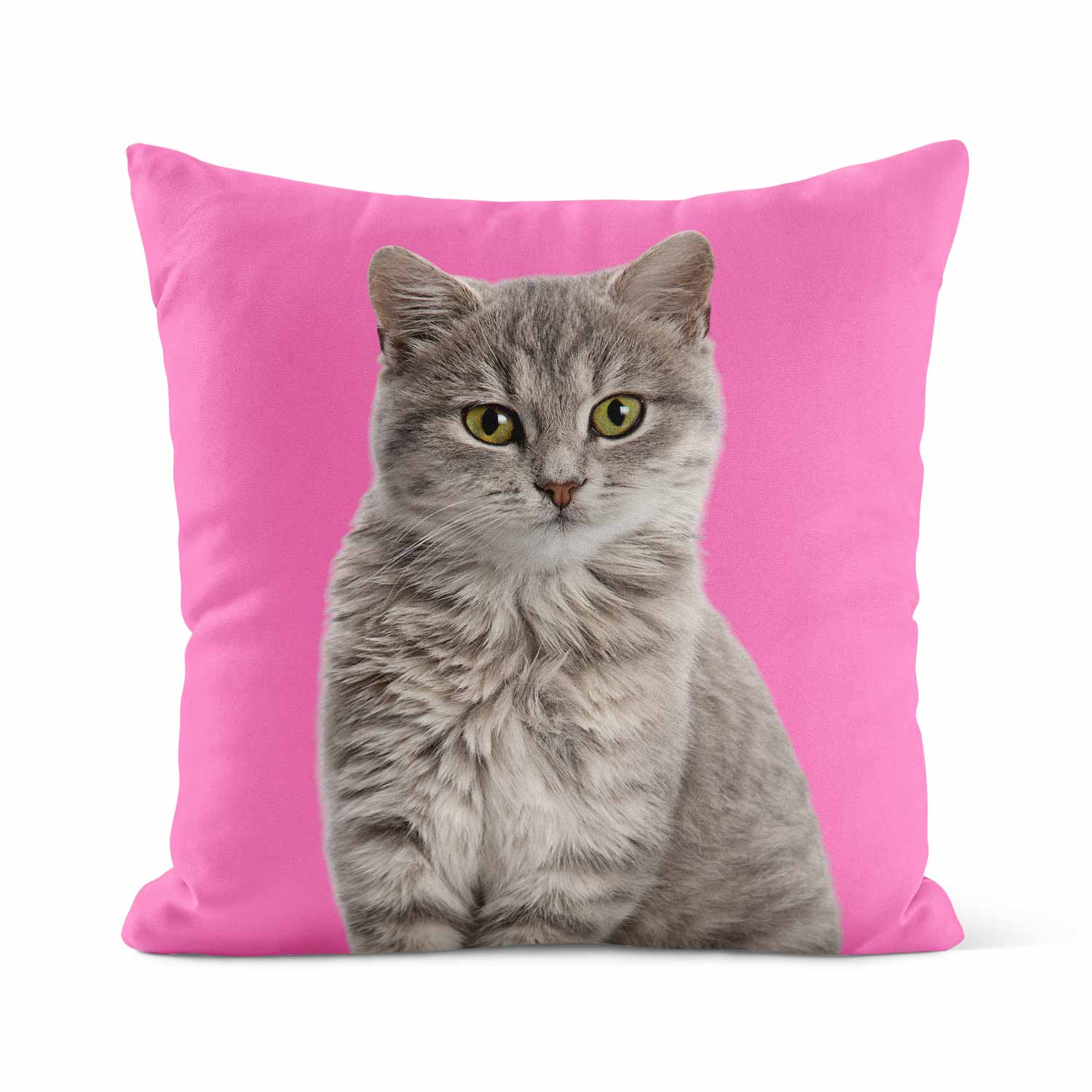 Your Cat Cushion