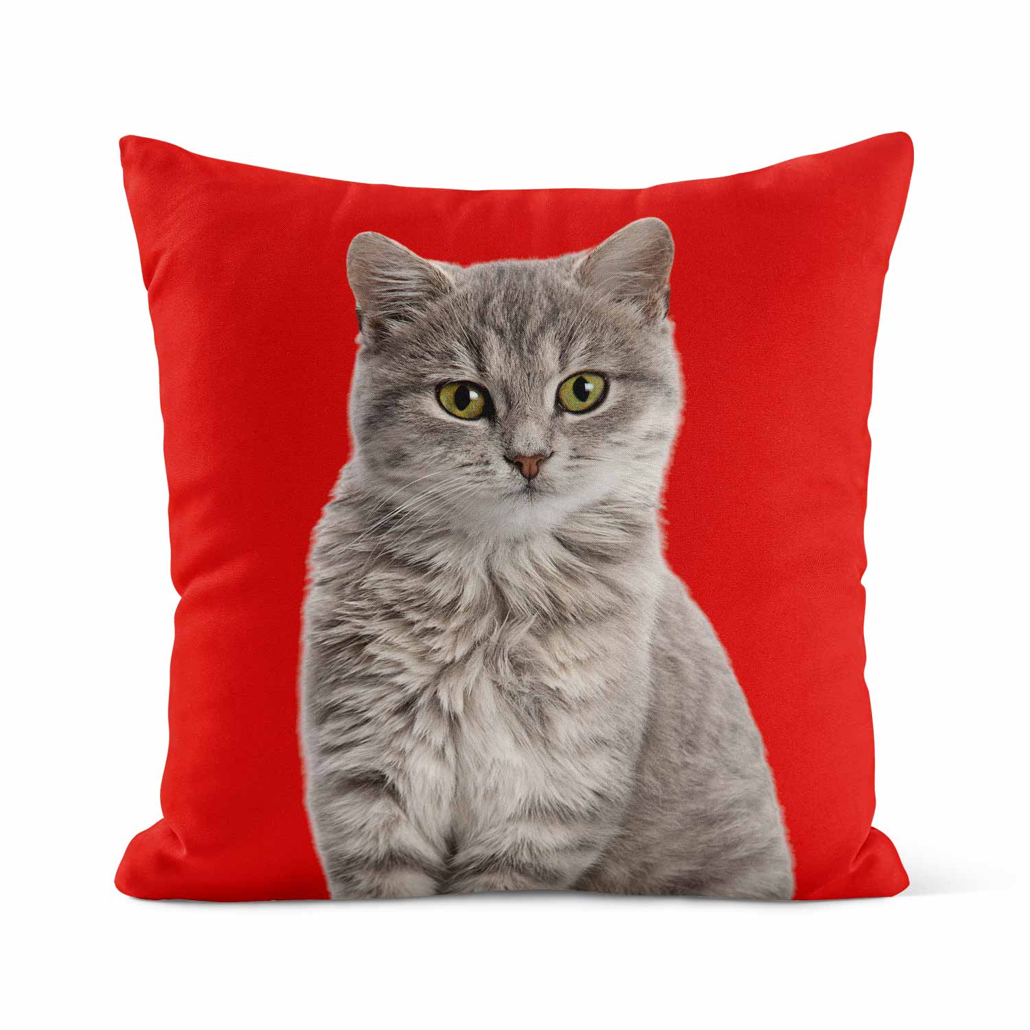 Your Cat Cushion
