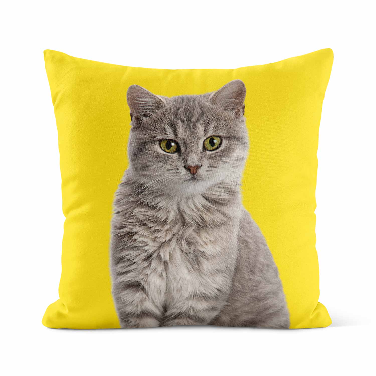Your Cat Cushion