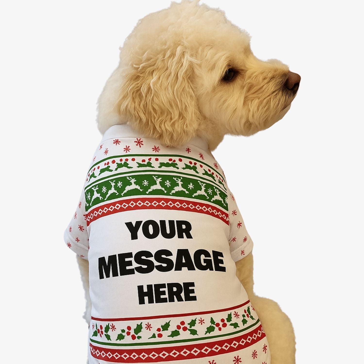 Custom Message Personalised Christmas Dog T Shirt