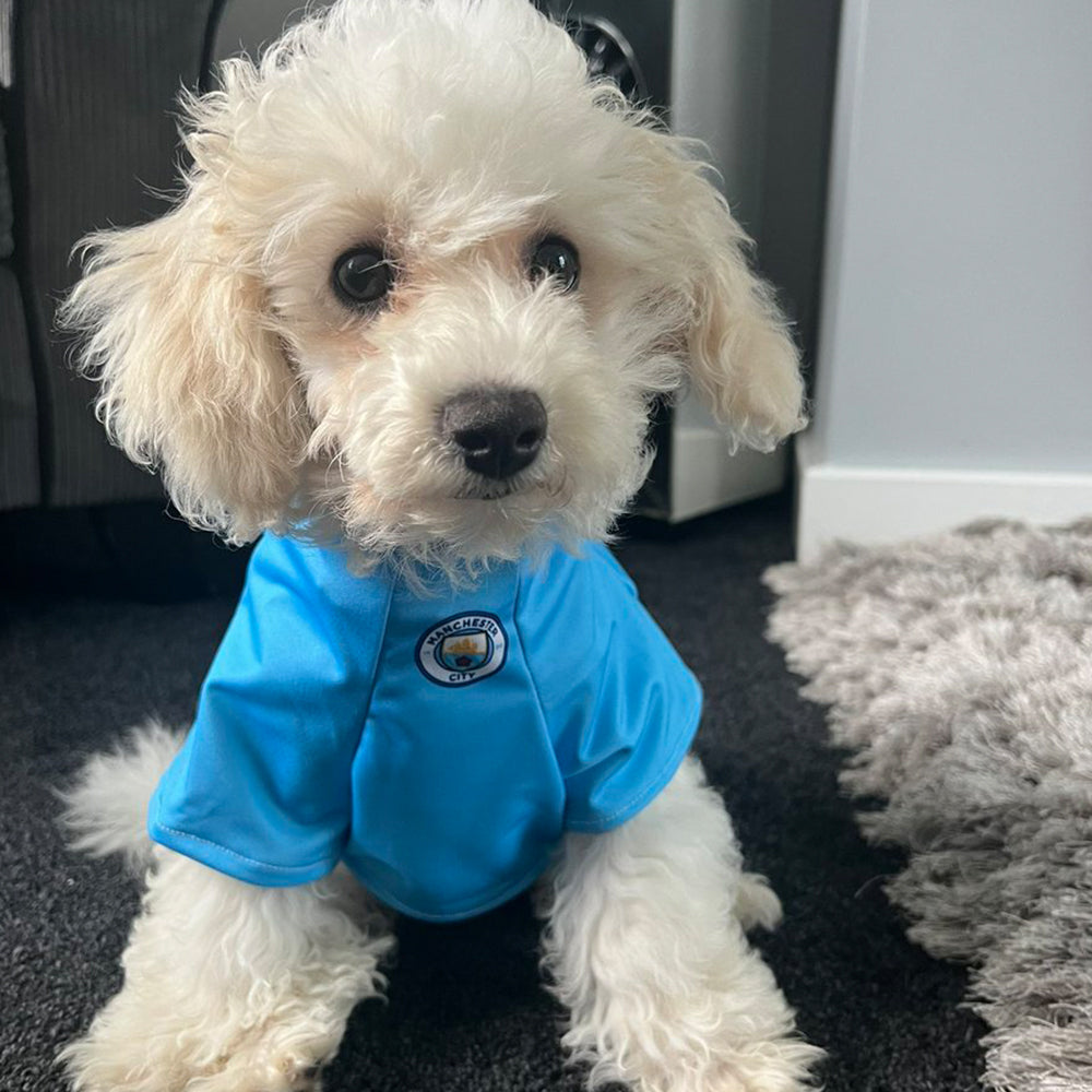 Personalised Man City Dog Shirt