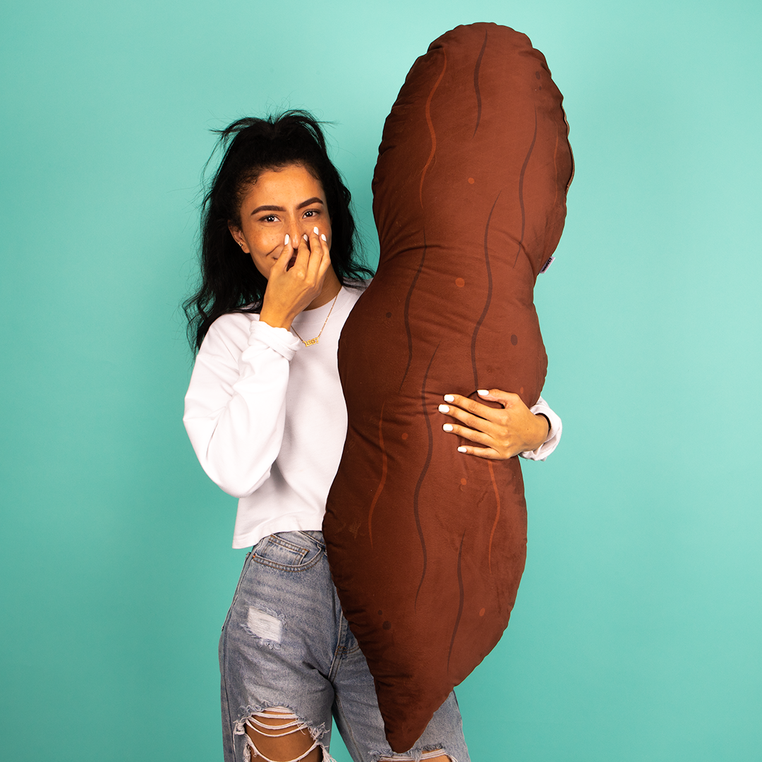 Giant Poo Cushion