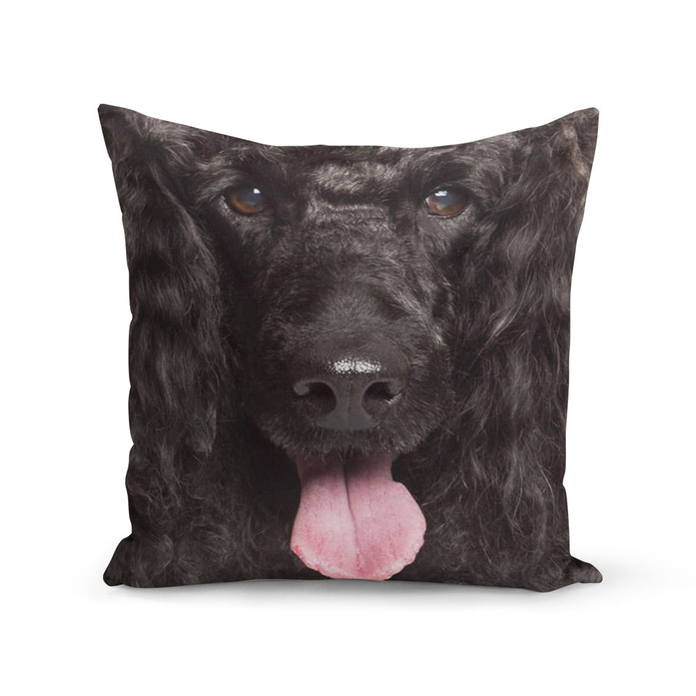 Face Splat Cushion