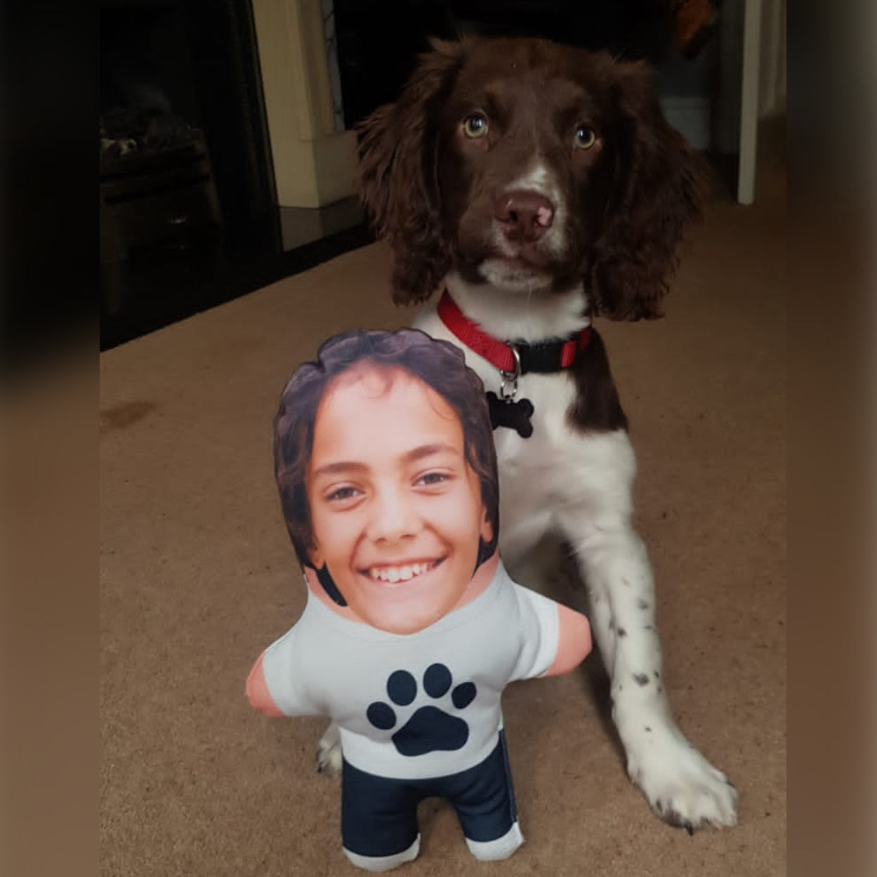 Personalised Paw Print Mini Me Dog Toy