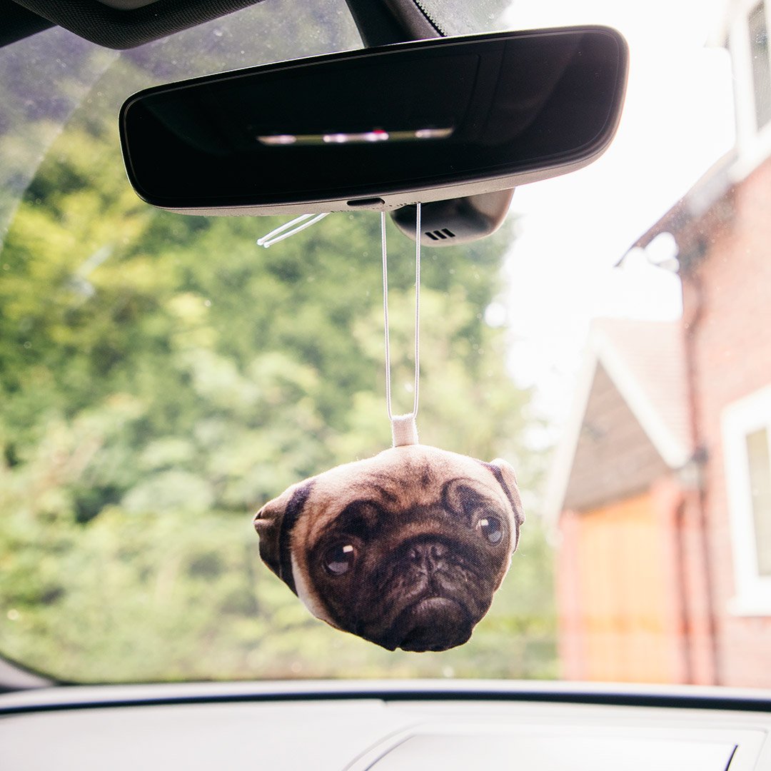 Face Car Accessory