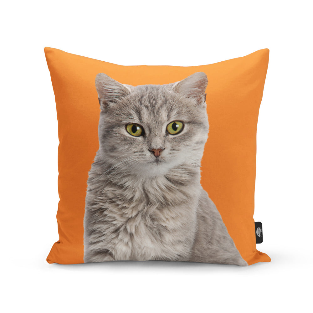 Your Cat Cushion