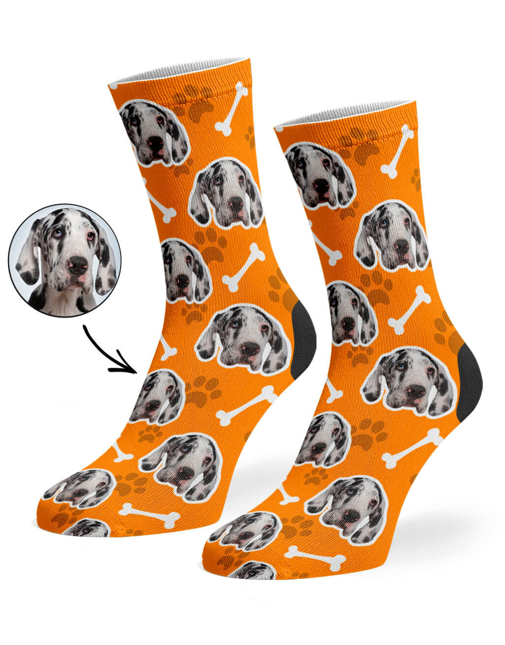 Orange Your Dog On Socks