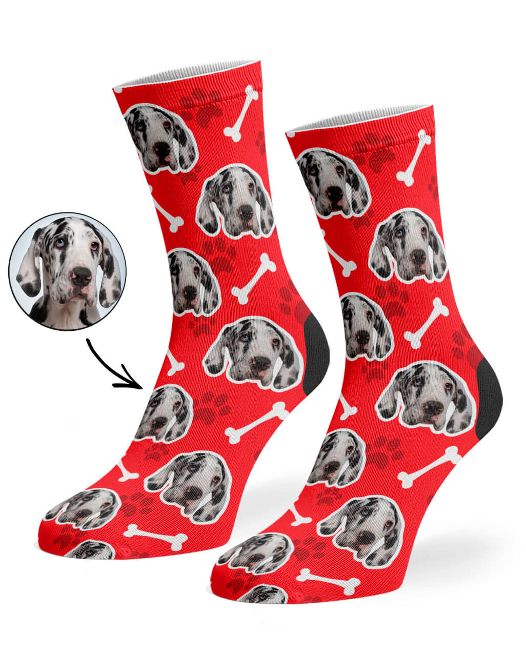 Red Your Dog On Socks