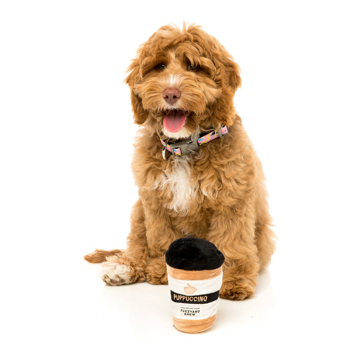 puppuccino-dog-toy