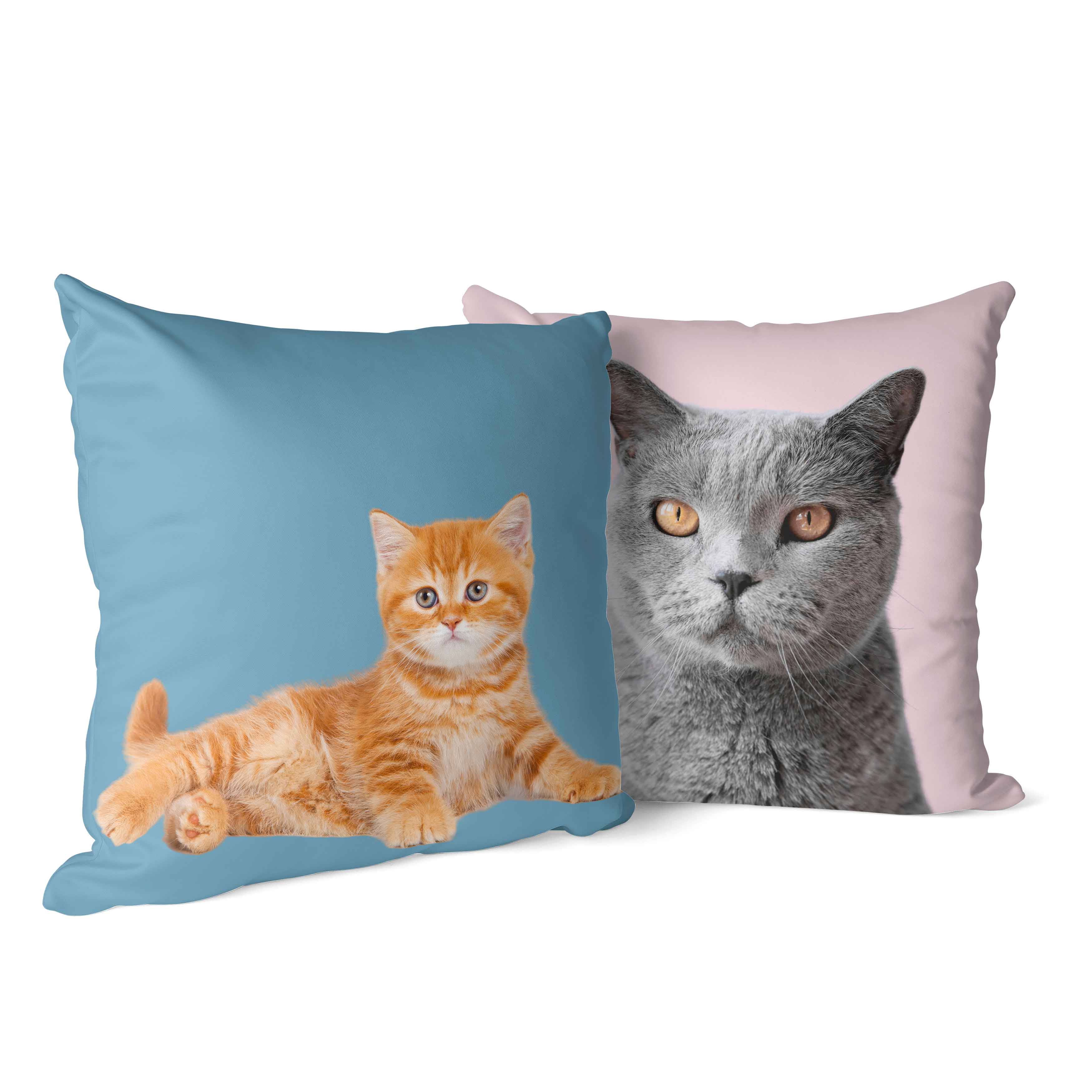 Your Cat Cushion