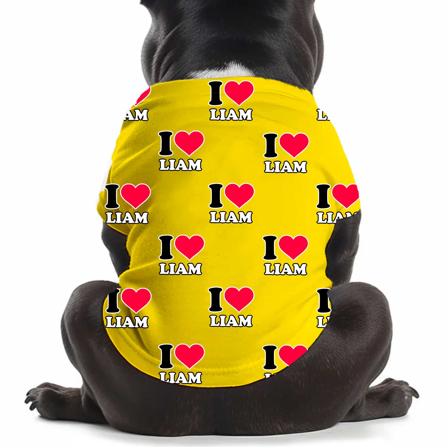 I Heart [Name] Personalised Dog T Shirt