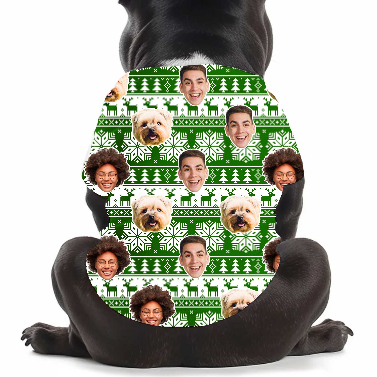 Family Faces Nordic Christmas Personalised Dog T Shirt