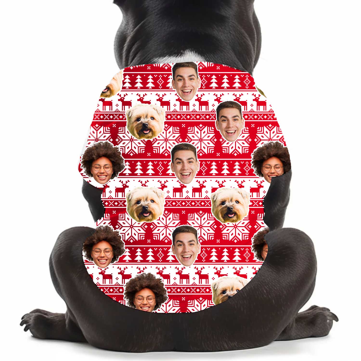 Family Faces Nordic Christmas Personalised Dog T Shirt