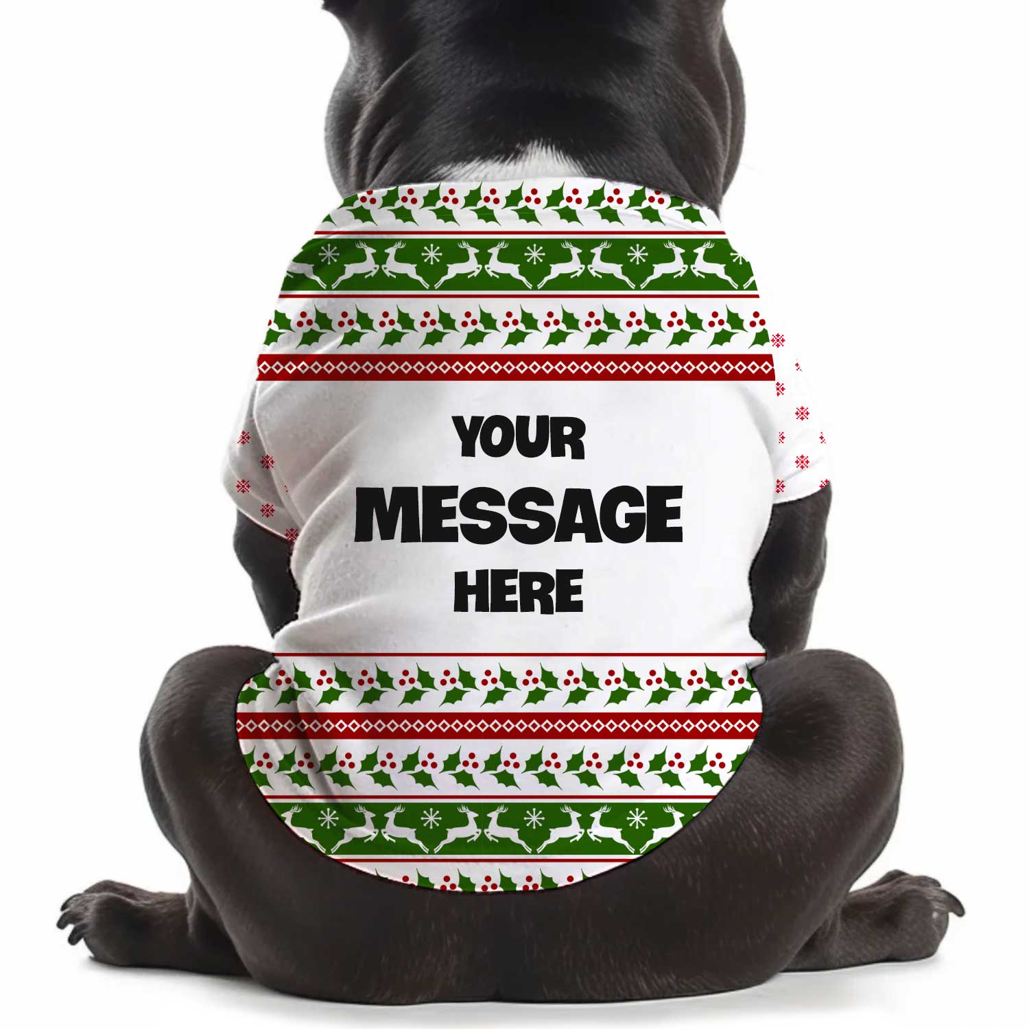 Custom Message Christmas Personalised Christmas Dog T Shirt