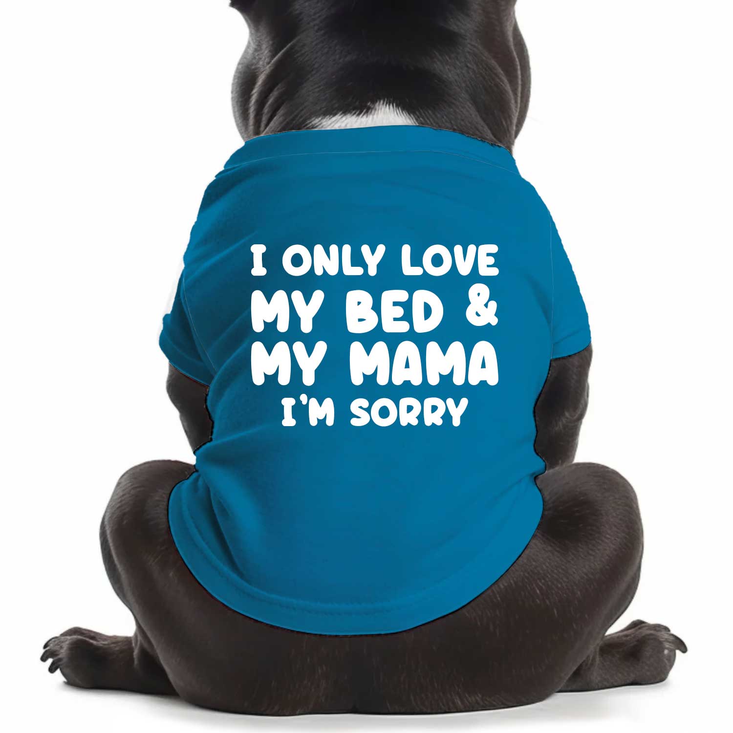 I Only Love My Bed & My Mama Dog T Shirt