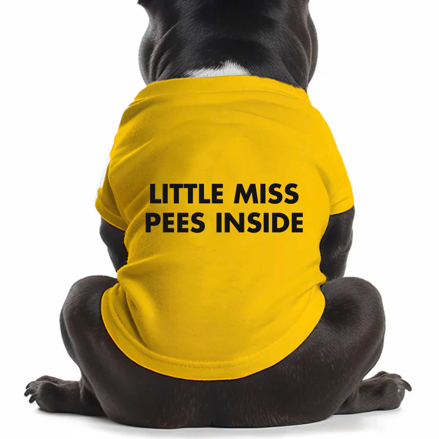 Little Miss Pees Inside Dog T Shirt