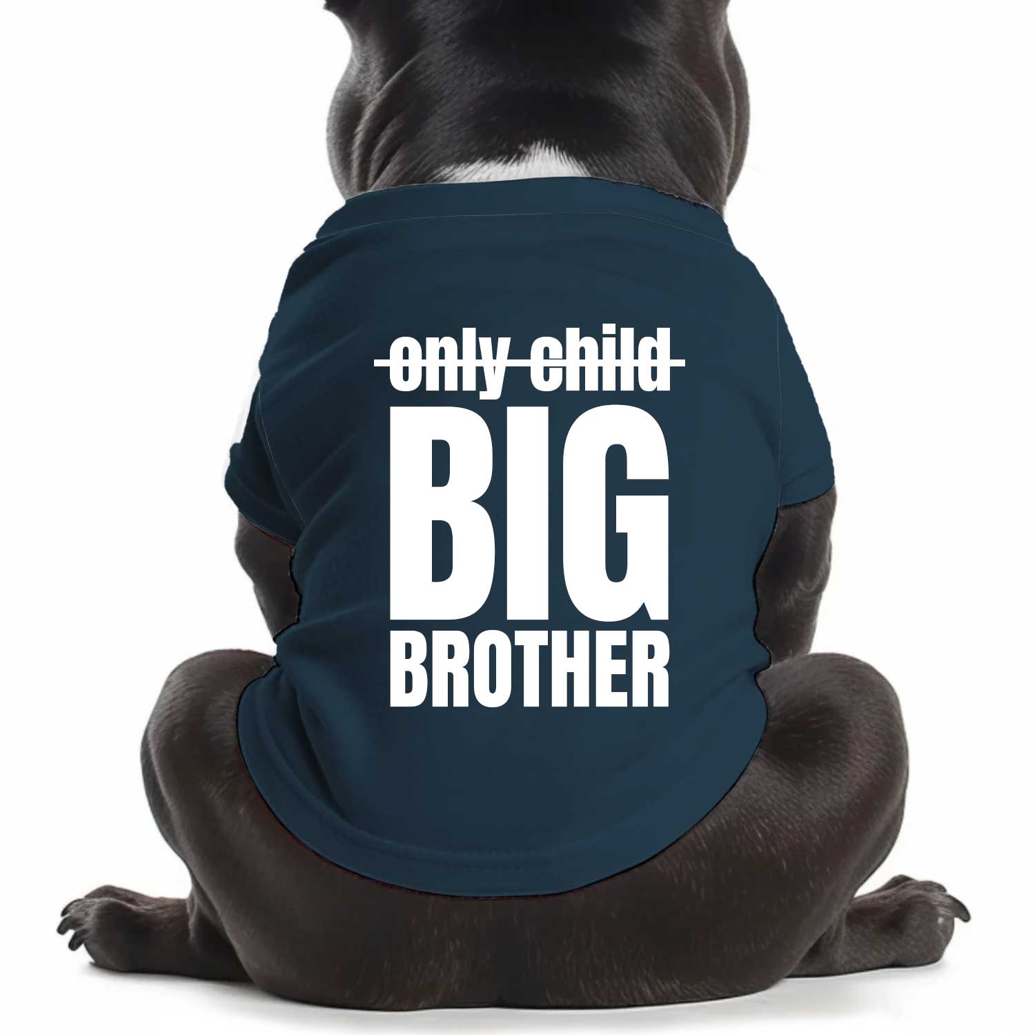 From Only Child To Big Brother Dog T Shirt