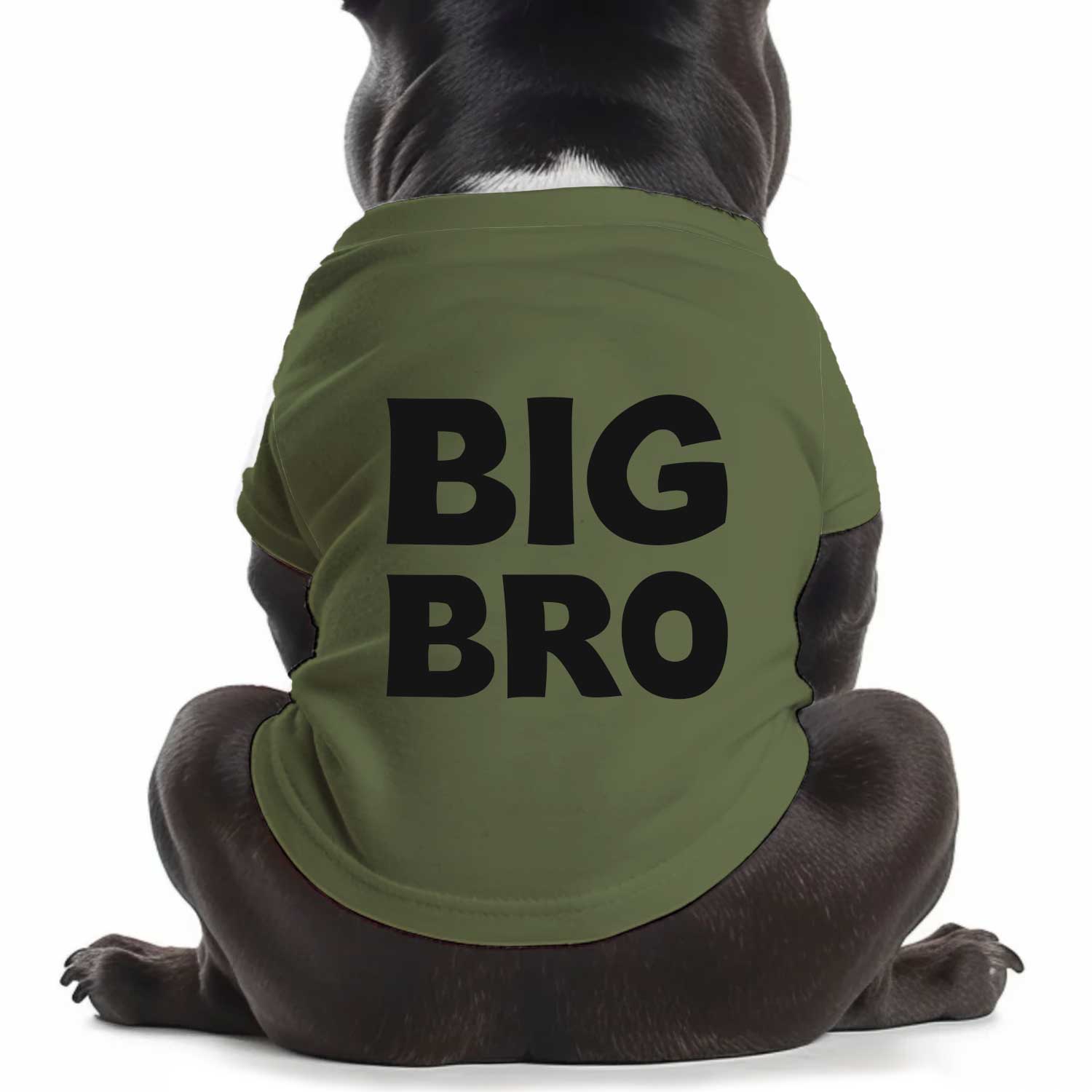BIG BRO Dog T Shirt