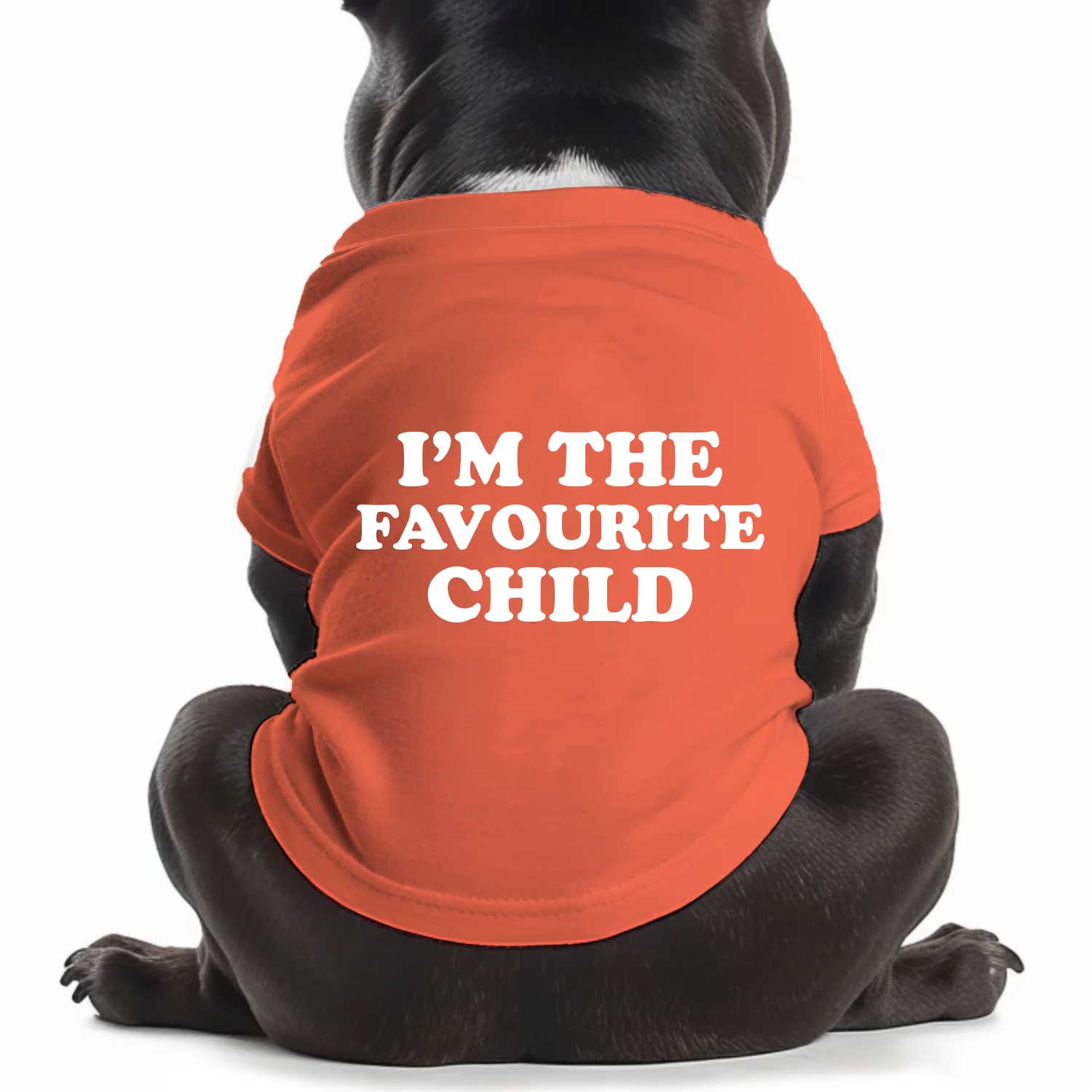 I'm The Favourite Child Dog T Shirt