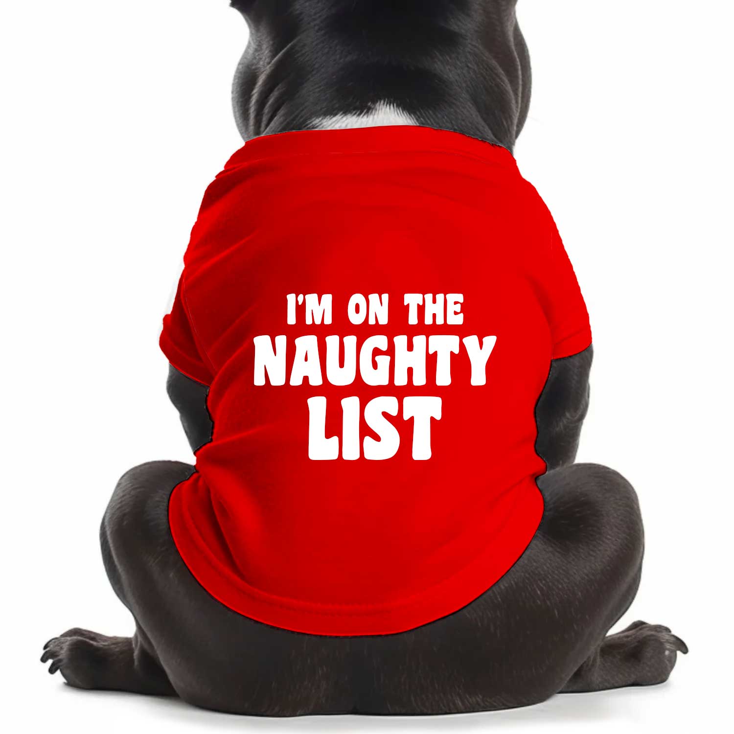 I'm On The Naughty List Dog T Shirt