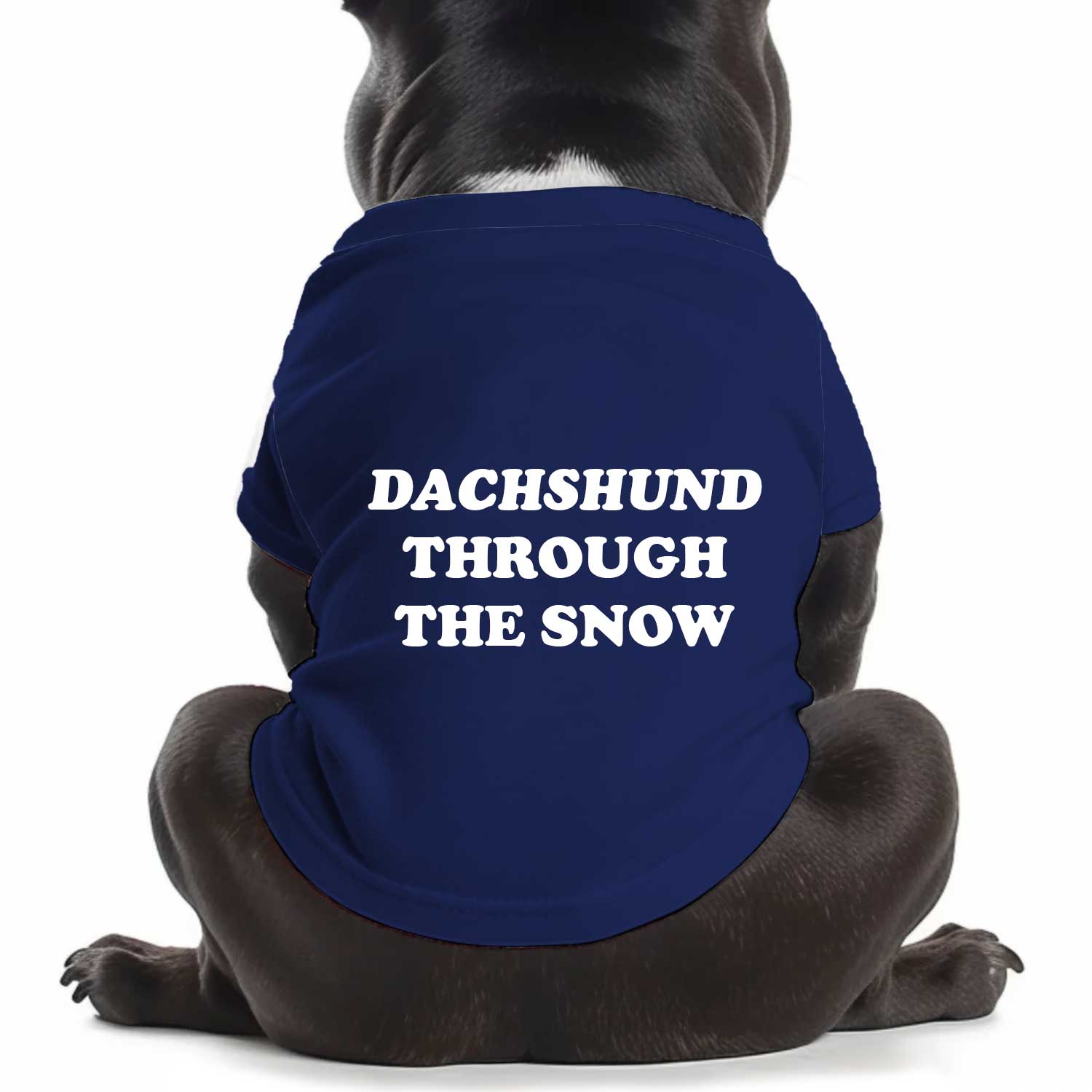 Dachshund Through The Snow Dog T Shirt
