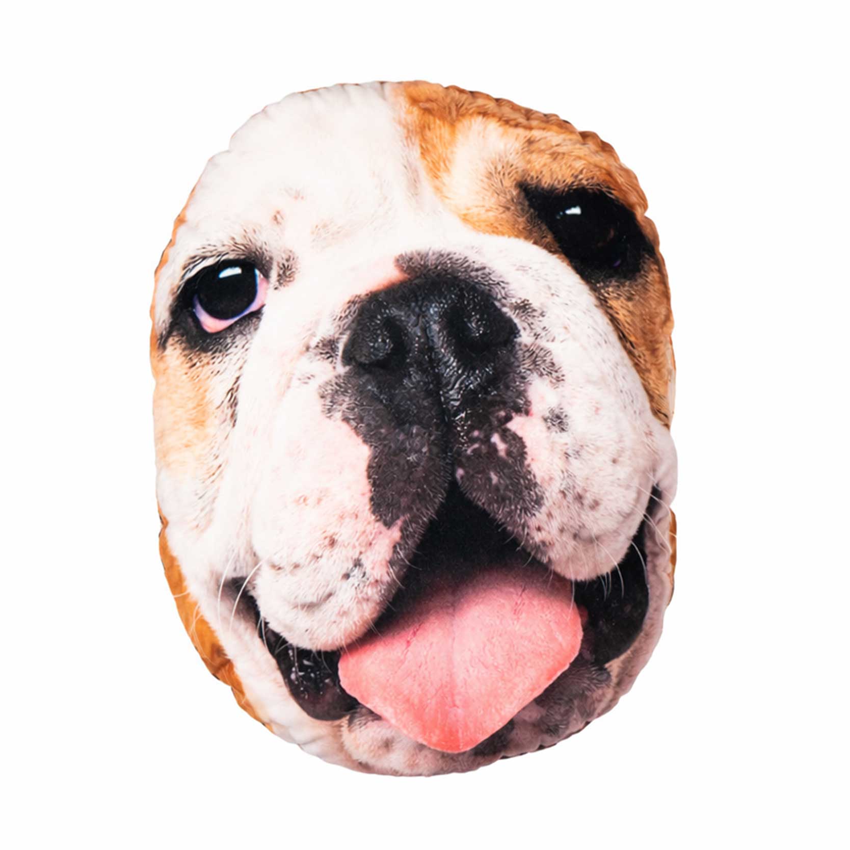 Pet Face Cushion