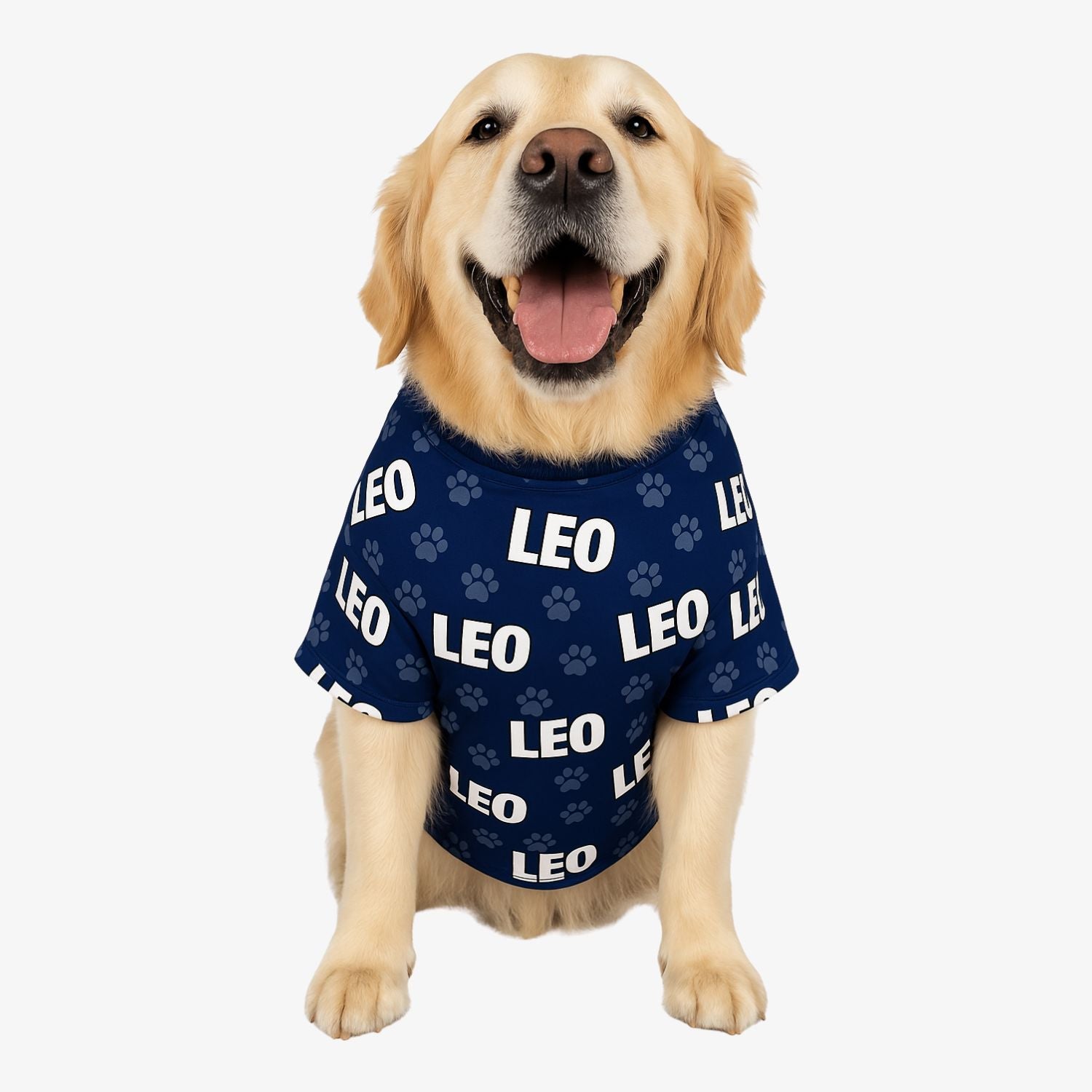 Dog Name Paw Print Personalised Dog T Shirt