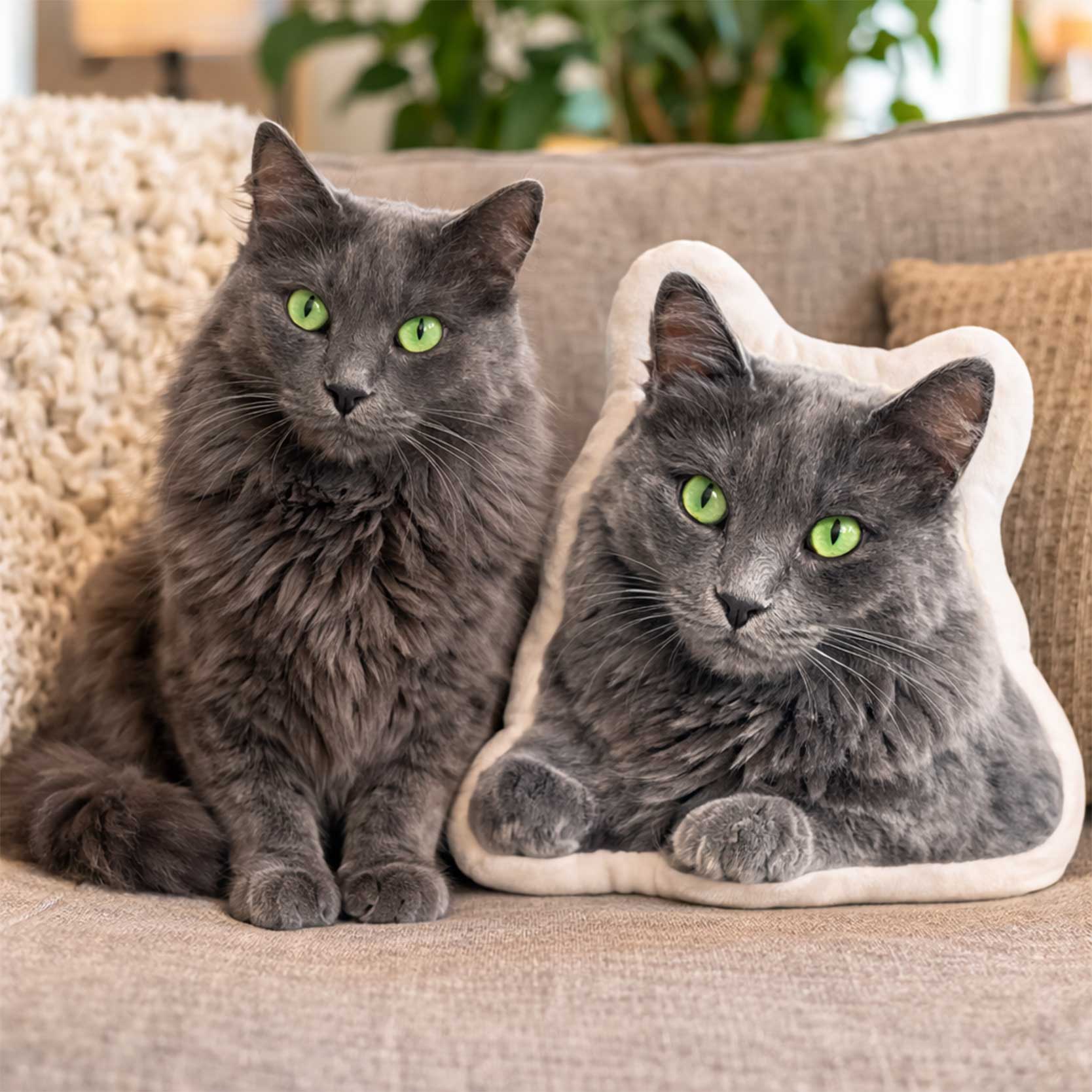 Cat Photo Shaped Pillow