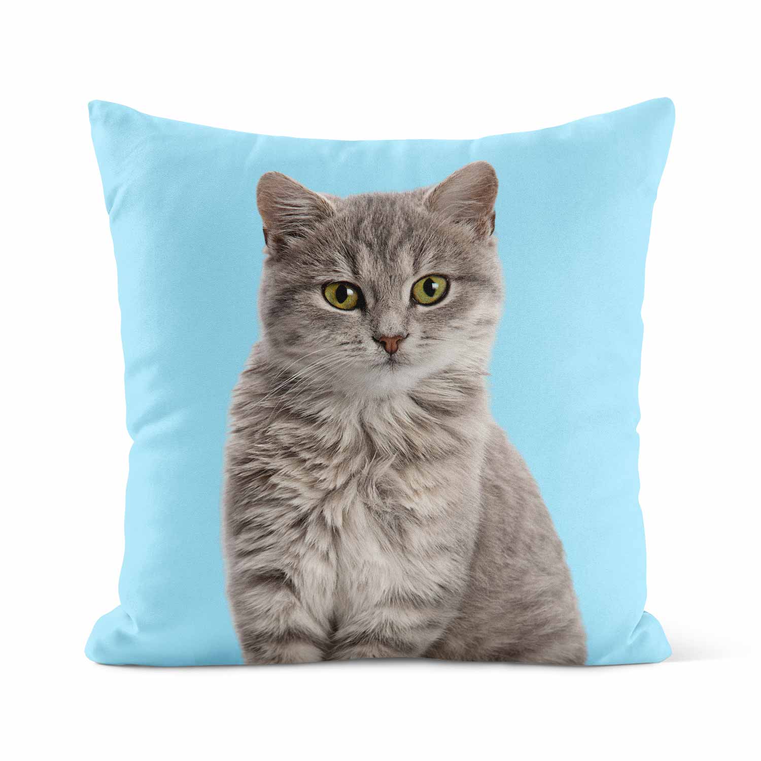 Your Cat Cushion