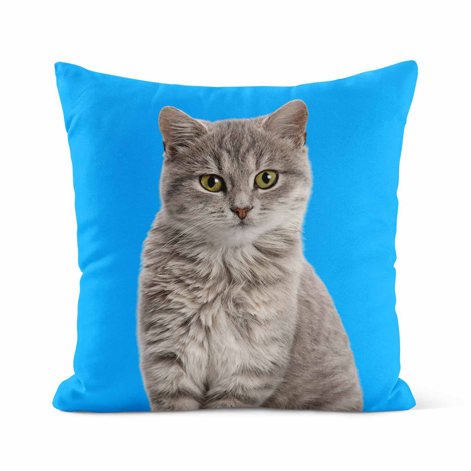 Your Cat Cushion