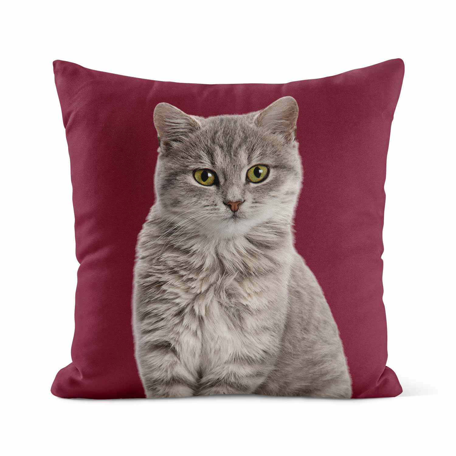 Your Cat Cushion