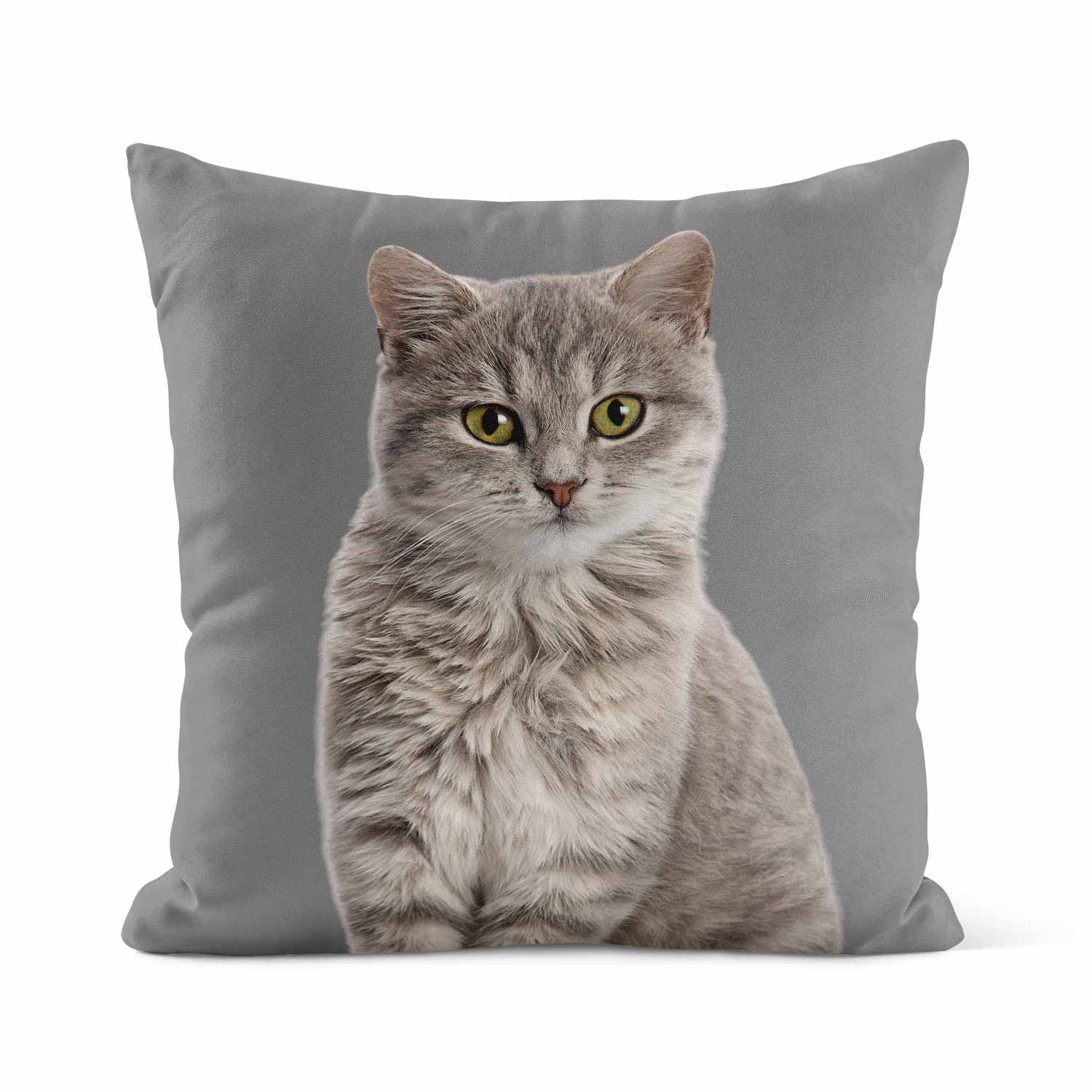Your Cat Cushion