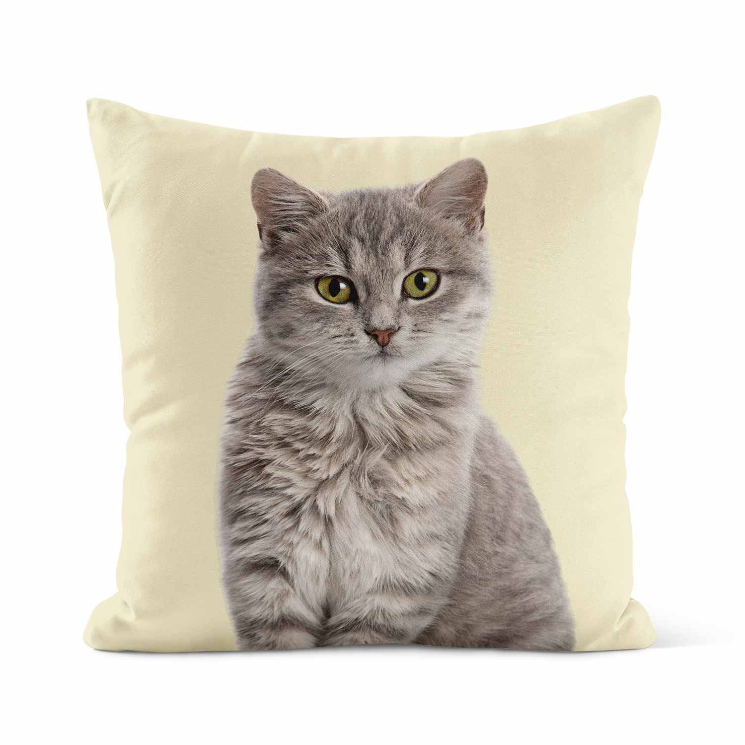 Your Cat Cushion