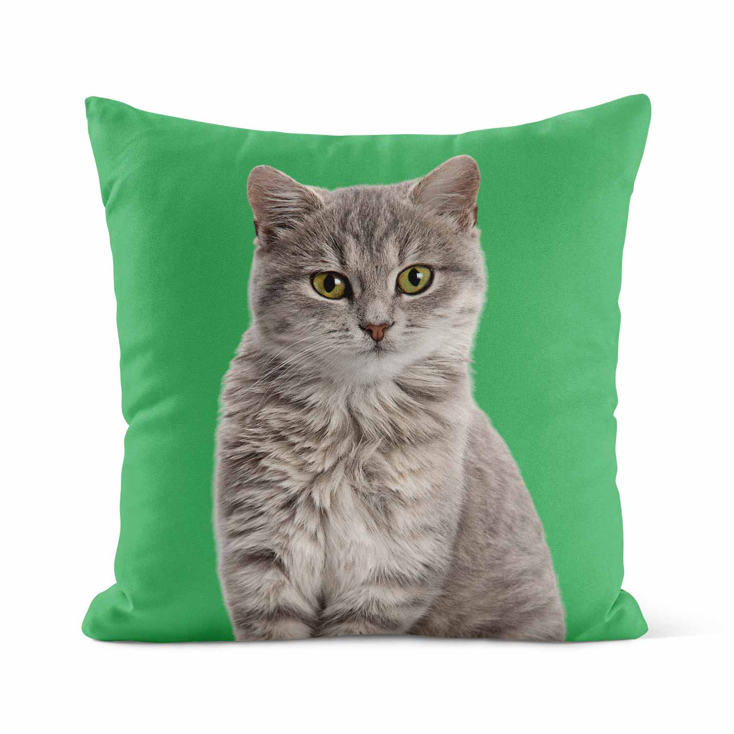 Your Cat Cushion
